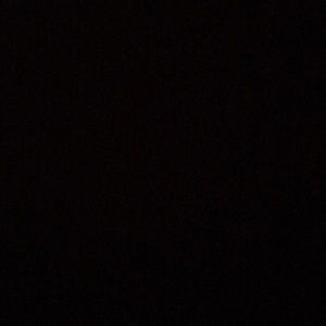 Meet your Posher, Bella